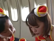 Japan Sex AirLine - Hãng máy bay chỉ dành cho VIP